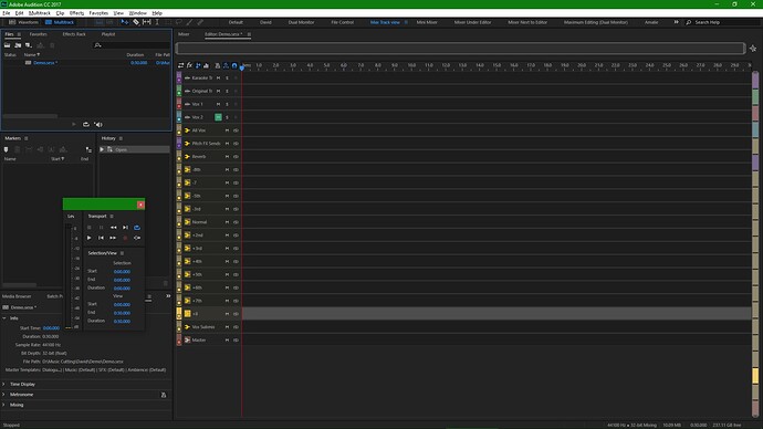 Workspace- Max Track View