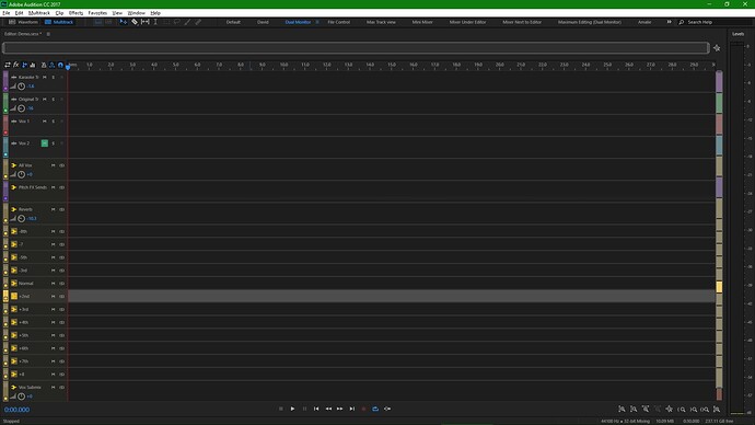 Workspace- Dual Monitor 2 -(Tracks)